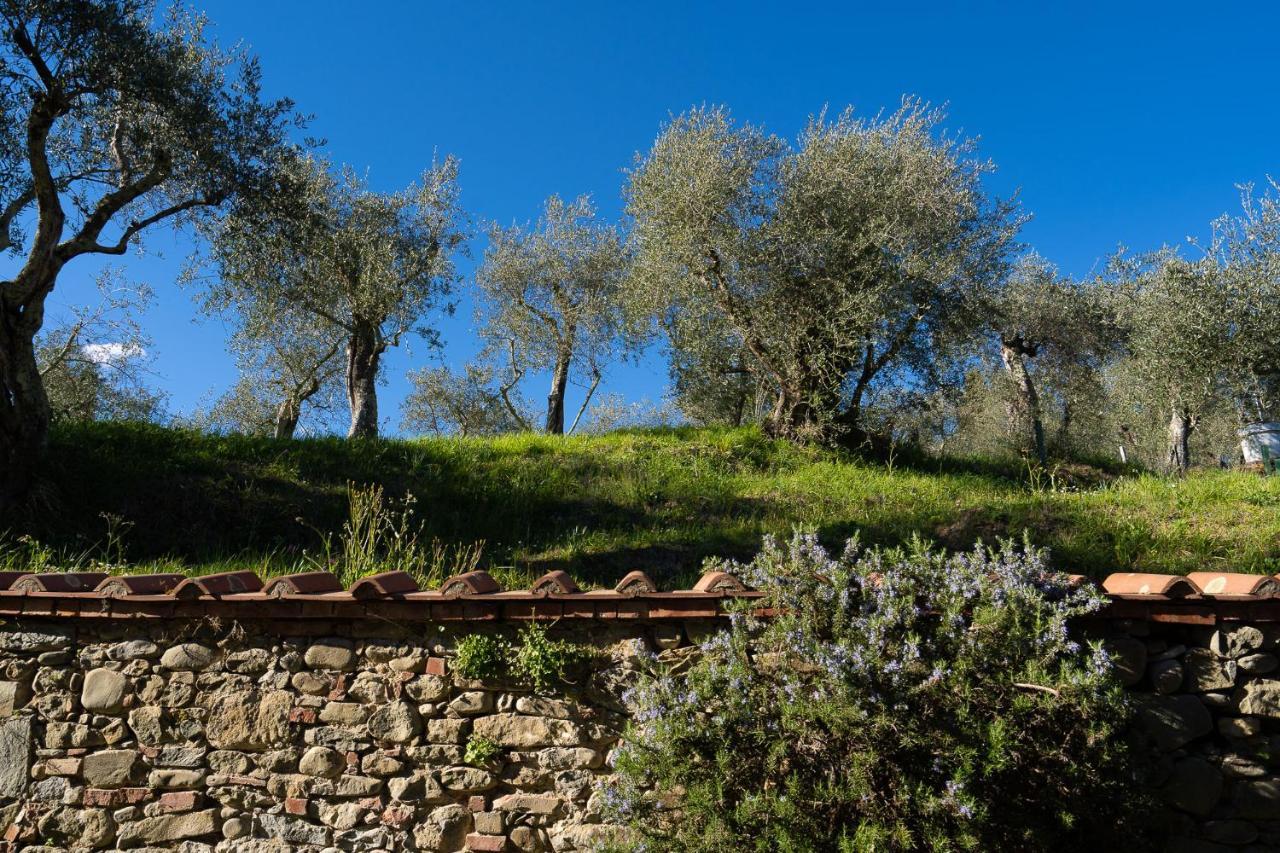 Alloggi In Villa Storica Pescia Buitenkant foto